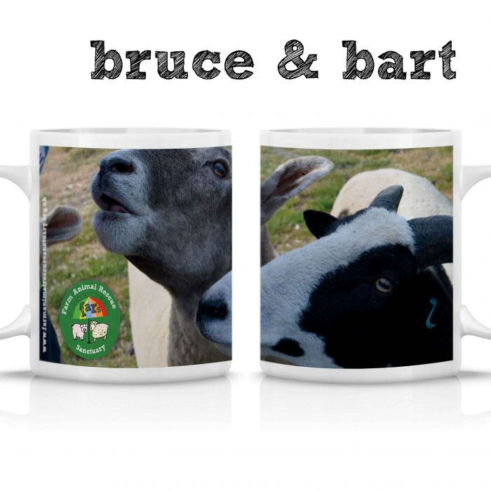 FARS Bruce & Bart Mug