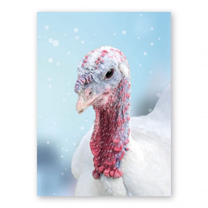 FARS Mistletoe Christmas Cards