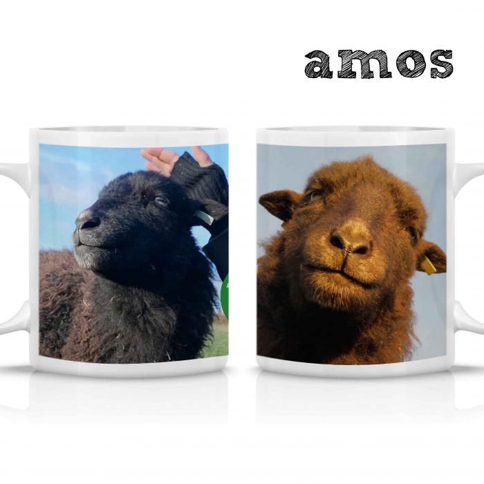 Fars mug with Amos