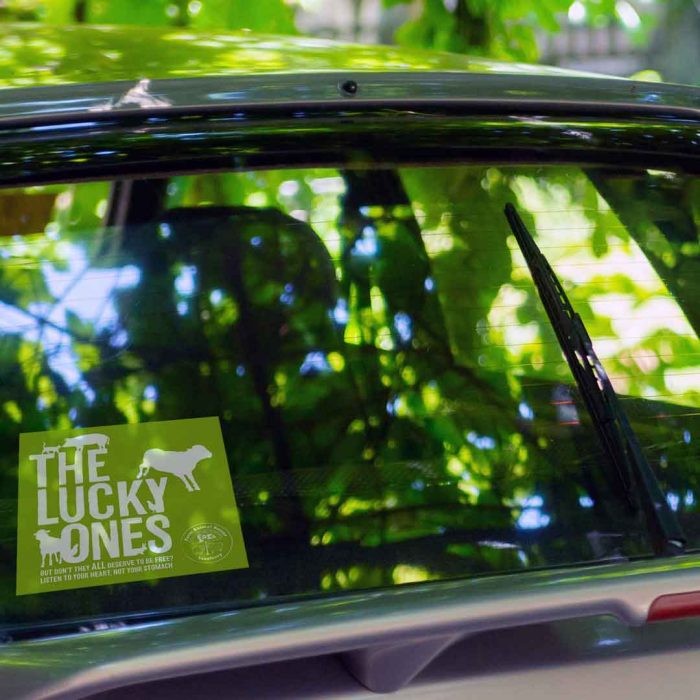 The Lucky Ones - Car sticker