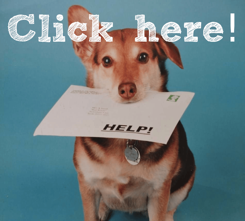 https://friendsoftheanimals.co.uk/ways-to-help/donate/