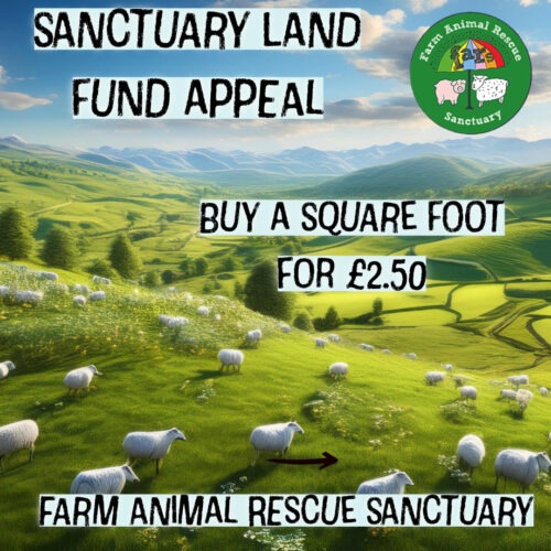 Land Fund image