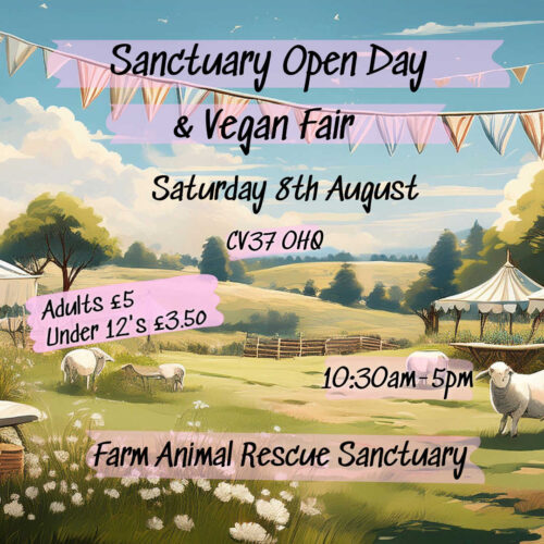 VEGAN FAIR IMAGE