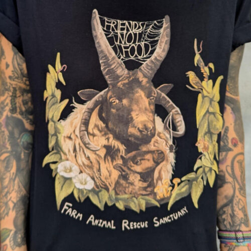 FNF T