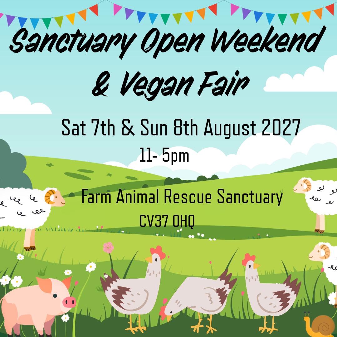 2027 Open weekend image